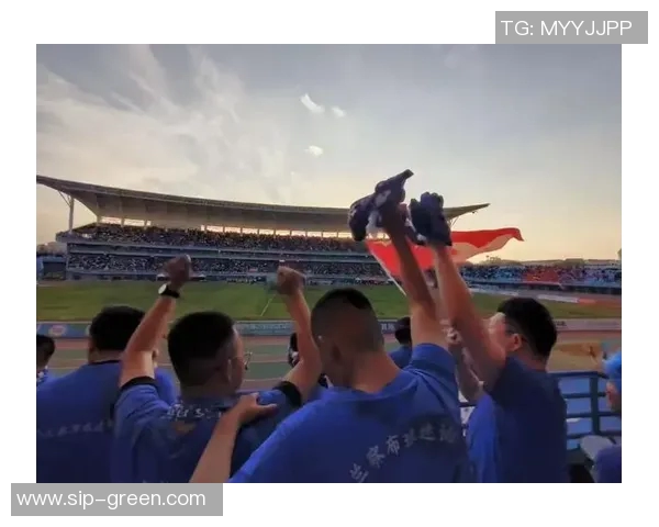 聚焦足球30号球星辉煌征程与绿茵场上的荣耀瞬间